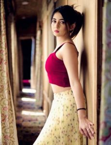 hot call girls in Udaipur