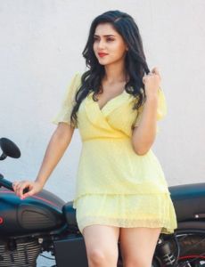 Udaipur call girl