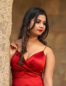 call girl service in Udaipur